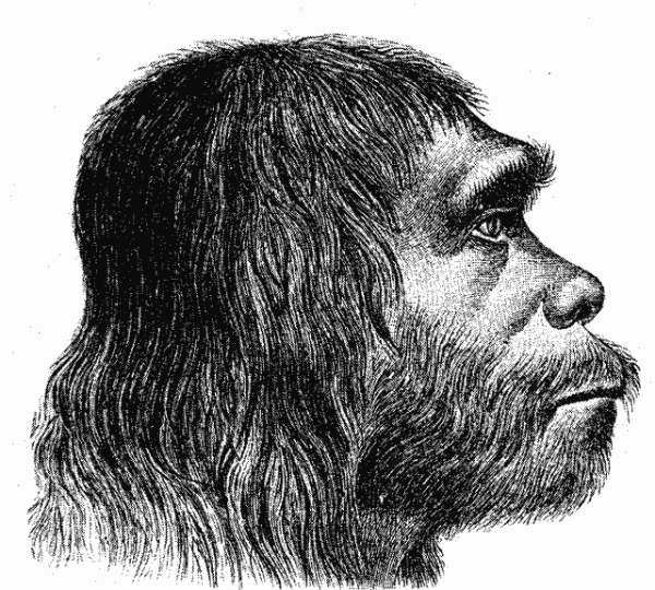 Neanderthaler_Fund