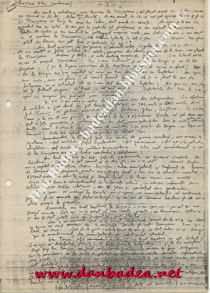 declaratie col. Rasina Dumitru (fragment), iunie 1994