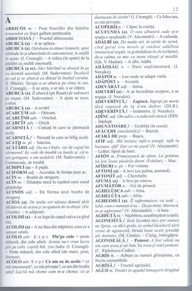 fragmente din dictionarul trădătorului rusnac, Stati